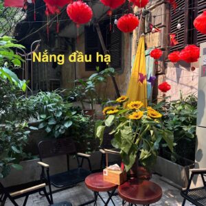 Marsellesa Sơn La Washed